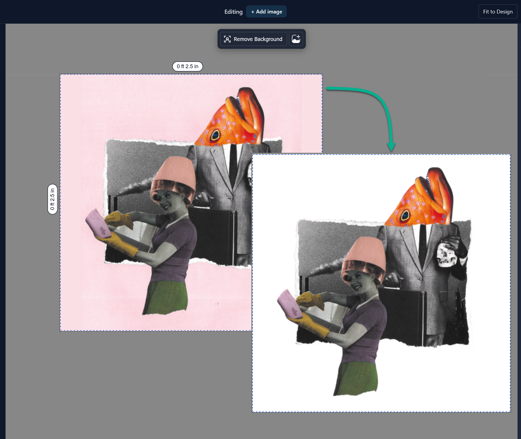 Collage of a person wearing a helmet with a fish on top, edited in an image editing software.