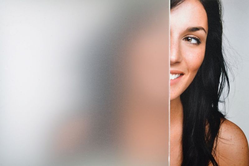 Privacy Film by the Roll